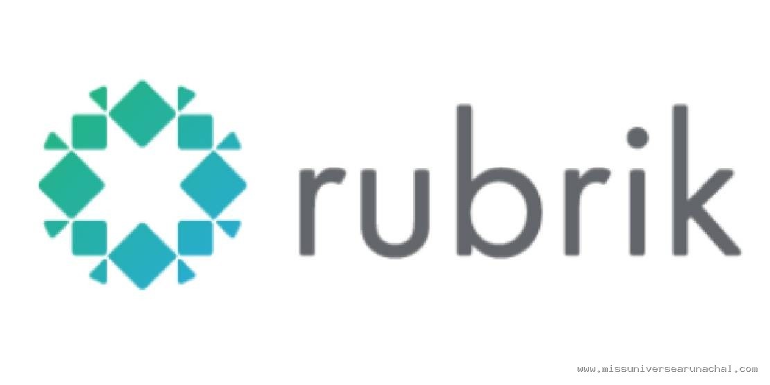Rubrik 合作伙伴